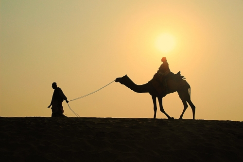 Desert Sunset