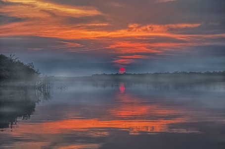 Reddish evening