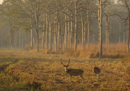 MAGICAL KISHANPUR