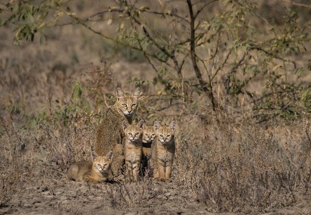 Family Portrait