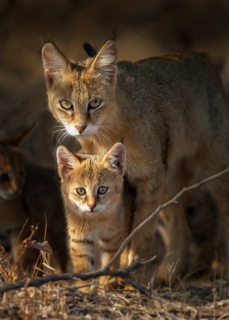 Mother and child portrait