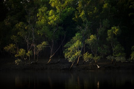 Touch of golden light