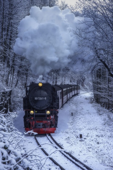 Gushing through the Frozen forest