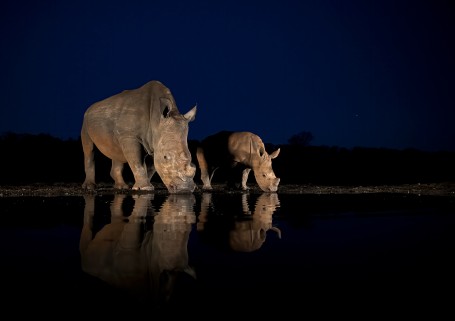 Blue Hour Drink