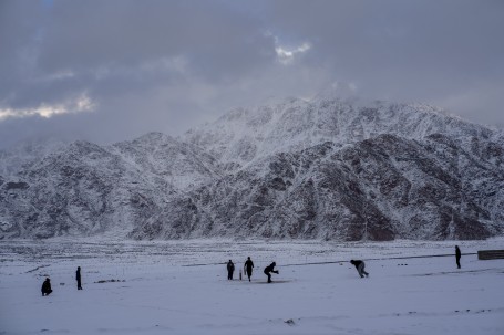 Cricket in Snow