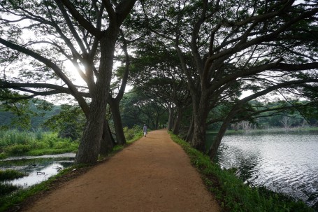 walk in a park