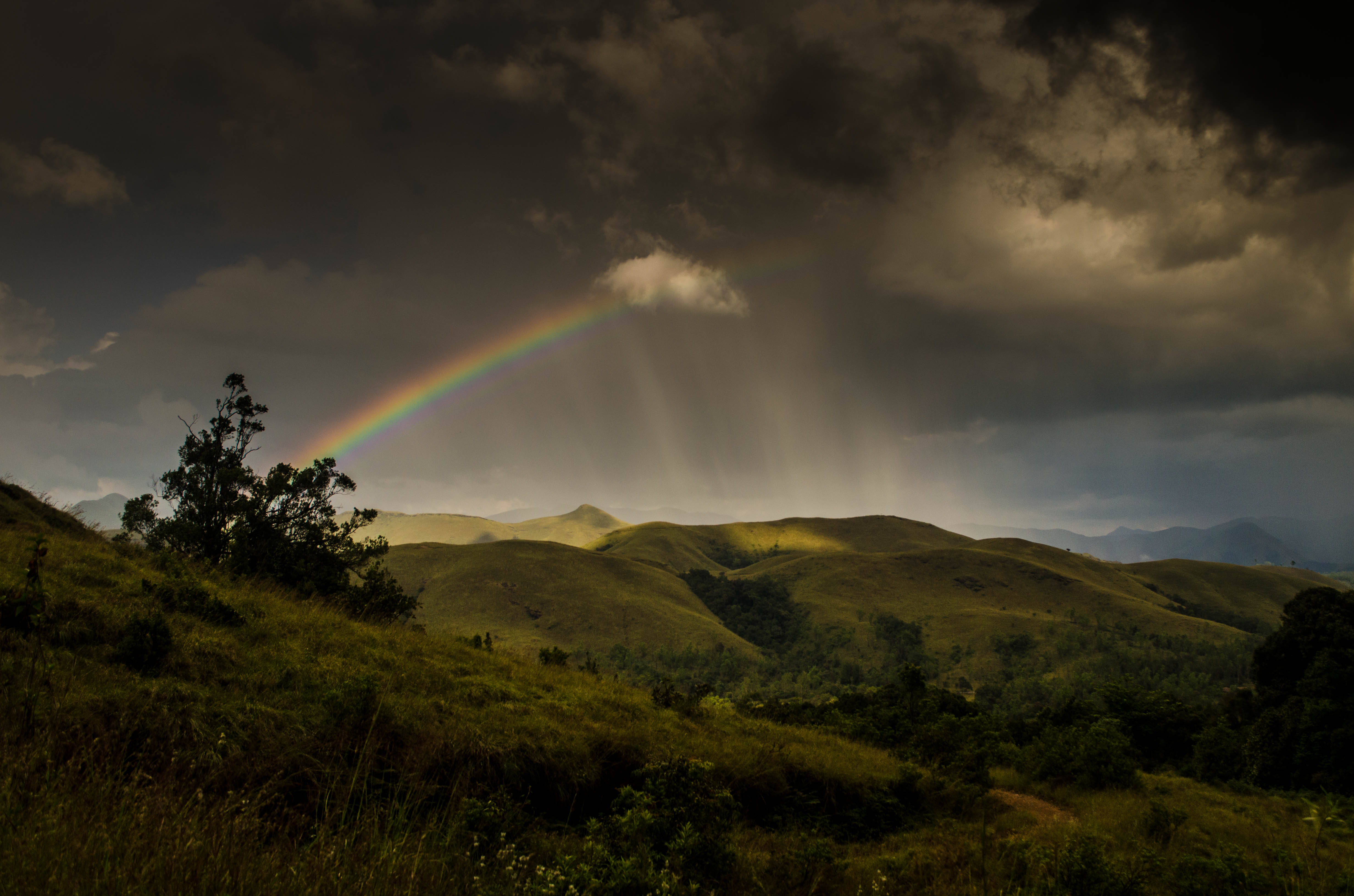 â€œThe way I see it, if you want the rainbow, you gotta put up with the rain!â€-Dolly Parton