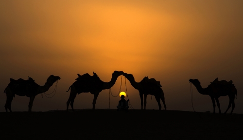 Sunset kiss