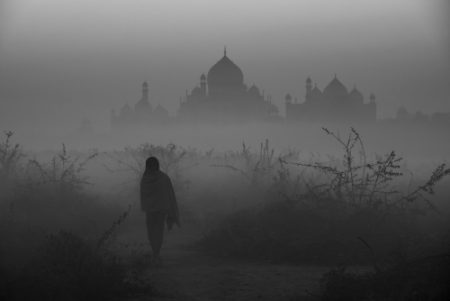 Taj in Winter