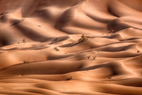 Sand Waves