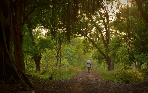 A long walk back home