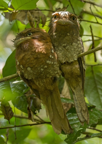 Lovely couple