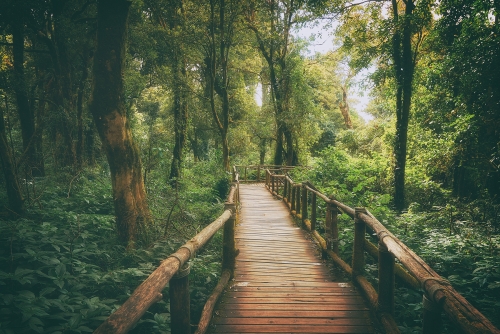 Doi Inthanon National Park