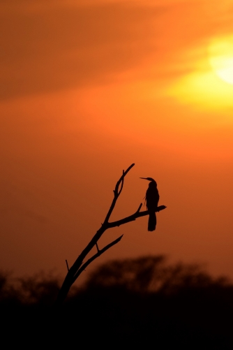 Sun kissed nature