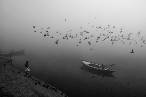 Winter Birds of the Ganges.