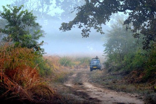 The Misty Morning