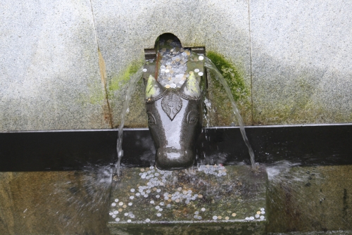 River Kaveri from Tala Kaveri (The Holly Water)