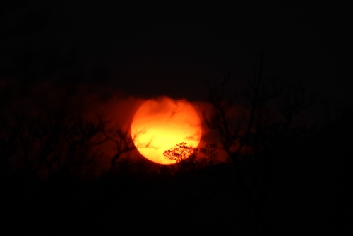 Sunset at Masinagudi Forest