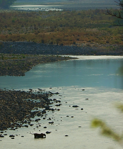 Queen Of Ramganga