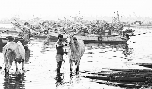 From Kasimedu harbor, Chennai