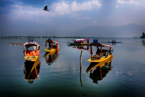 Early Morning at DAL LAKE