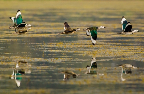 A flight over the crystal lake