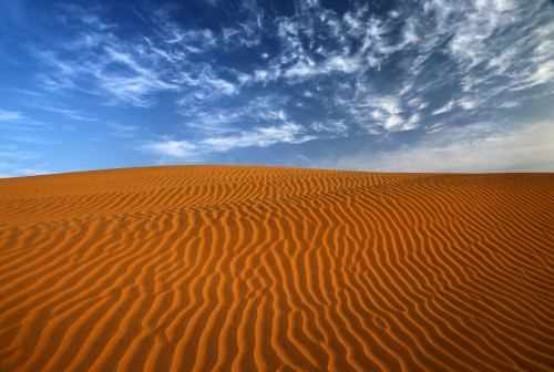 Thar desert nature