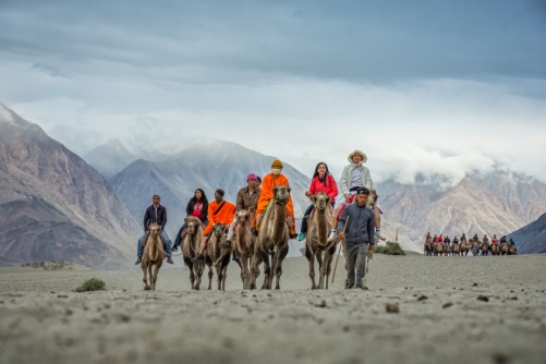 Tourist Ride on Bactrian Camels in Nubra Valley